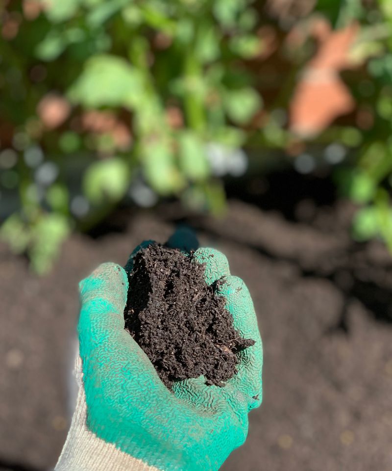 Test And Amend Your Soil