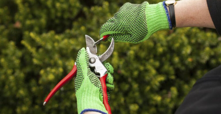 cleaning garden tools