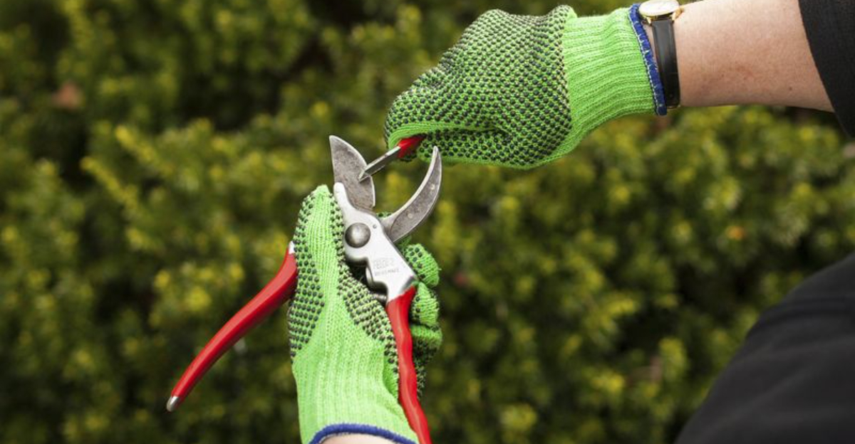cleaning garden tools