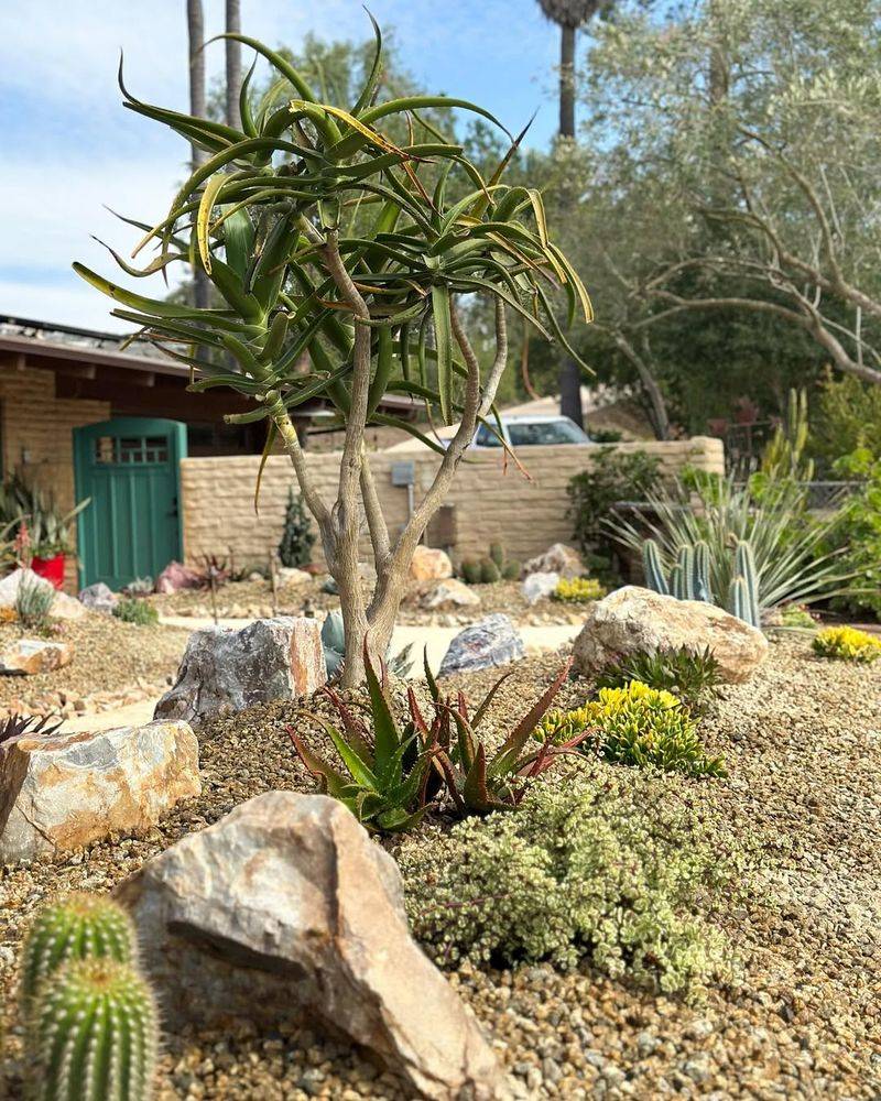 Gravel, Stone, And Hardscape Do More Than Grass Ever Did