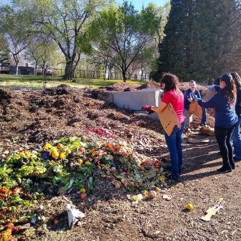 Composting Enriches Soil Naturally