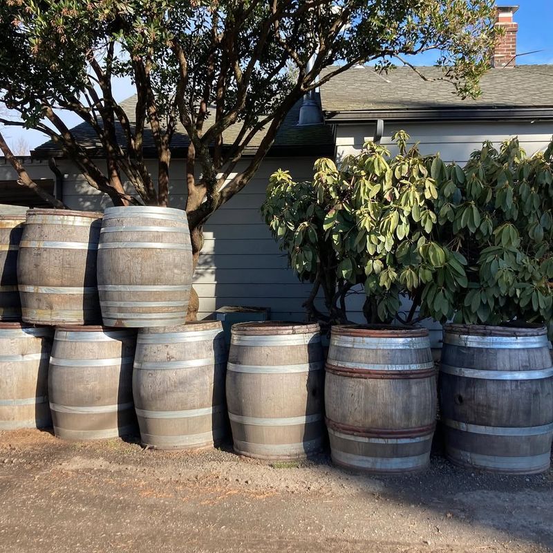 Rainwater Harvesting Systems