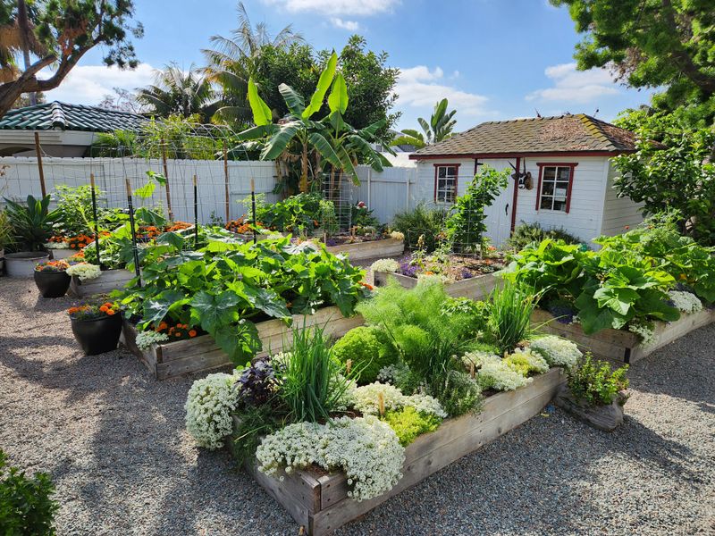 Edible Landscaping Integrates Food Production