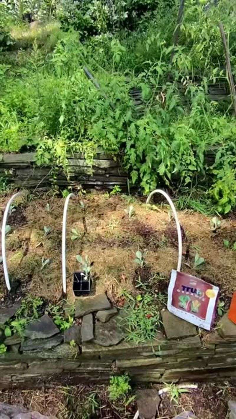 Organic Pesticides Are Completely Safe