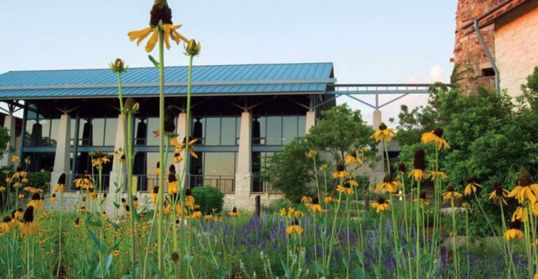 austin wildflower center