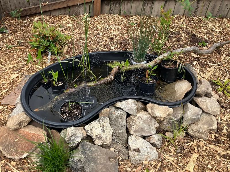 Wildlife Finds Safe Habitat Close To Home