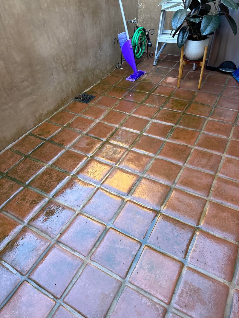 How To Prevent Algae From Coming Back