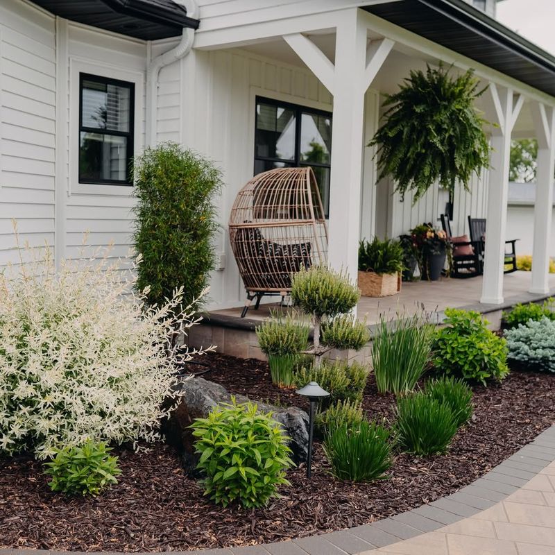 Low-Water And Low-Maintenance Appeal