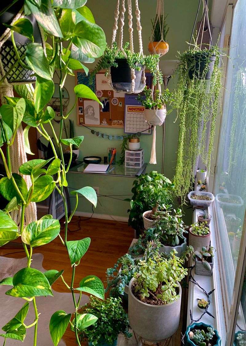 Lighting Is Adjusted To Support Plant Growth