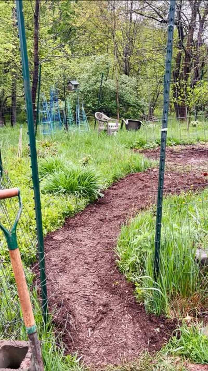 Mulch and Wood Chip Paths