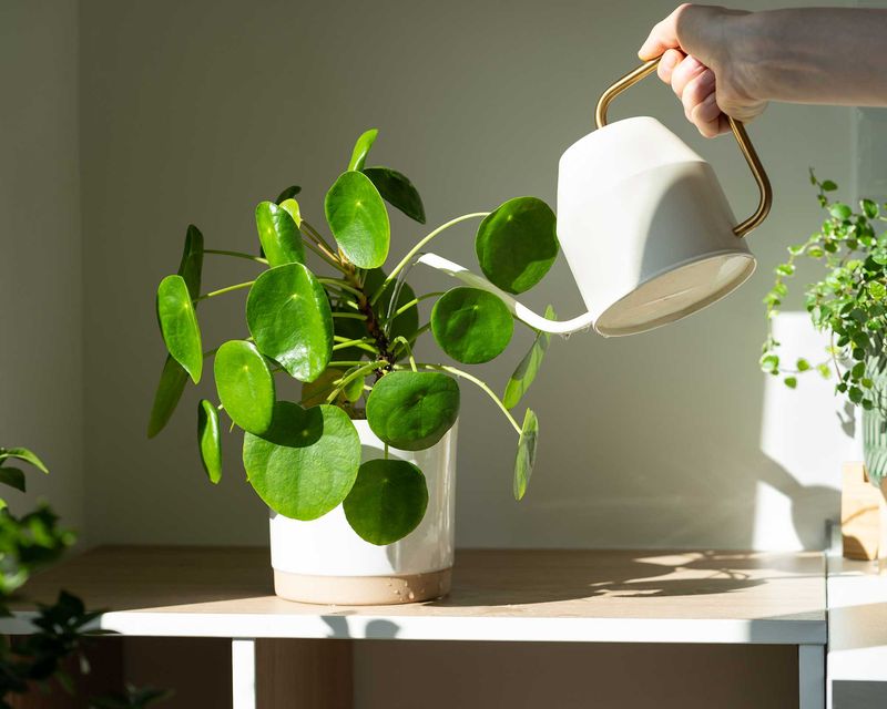 Home Office Desk Areas