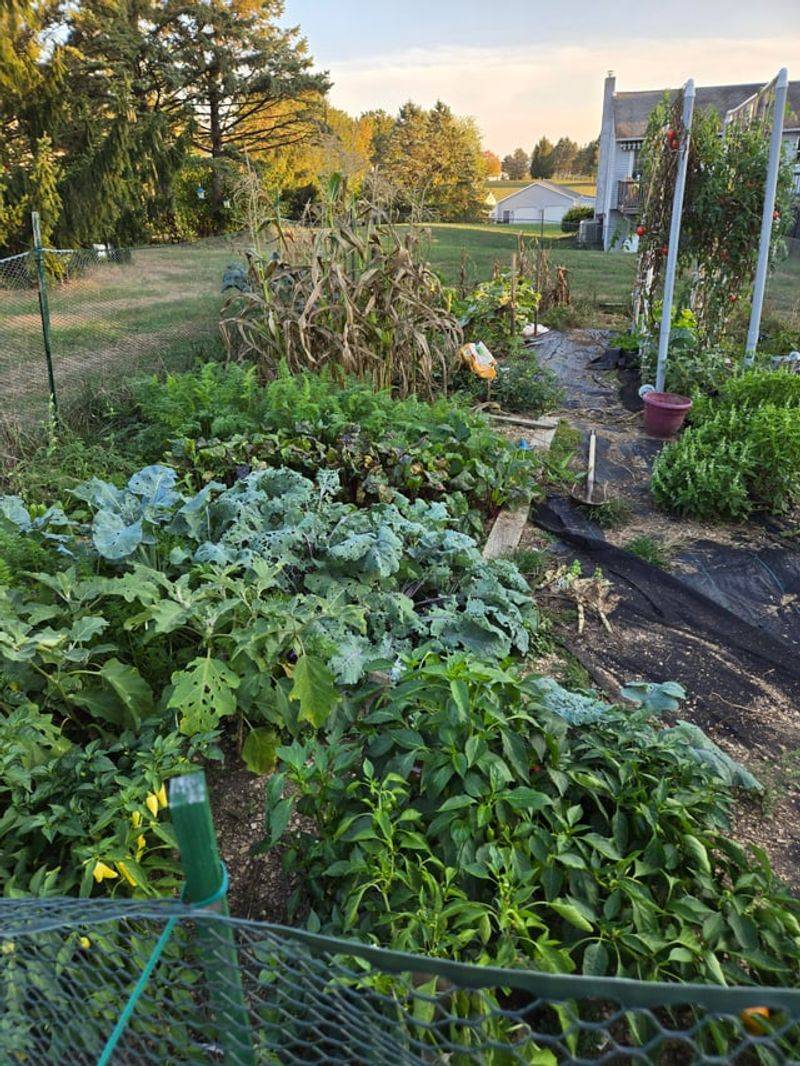 Choosing Plants That Cannot Handle Pennsylvania Weather