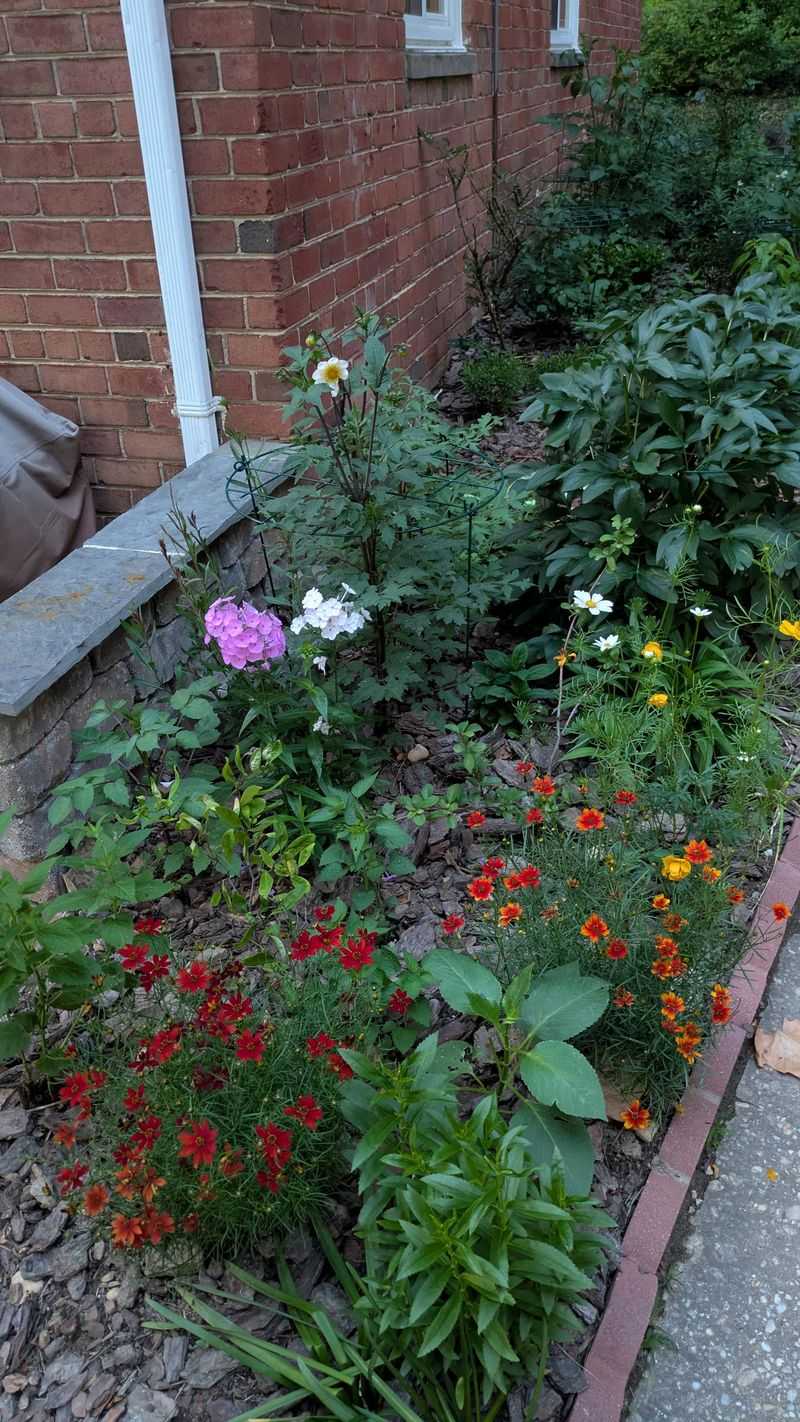 Assuming One Season's Success Guarantees The Next