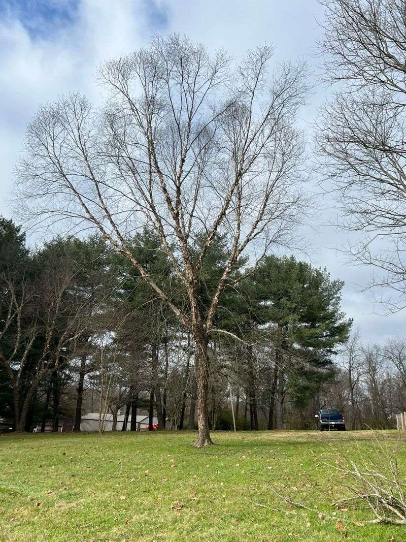 You Must Prove The Neighbor Knew Or Should Have Known