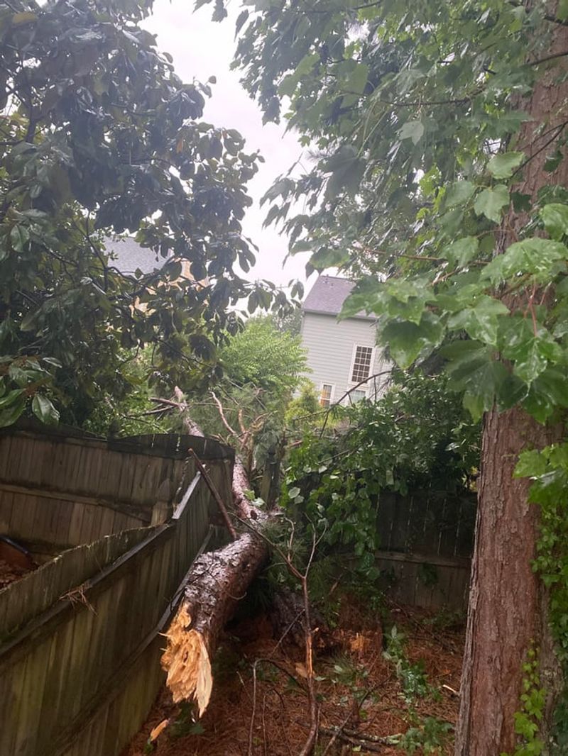 Your Homeowner's Insurance Typically Covers the Initial Damage