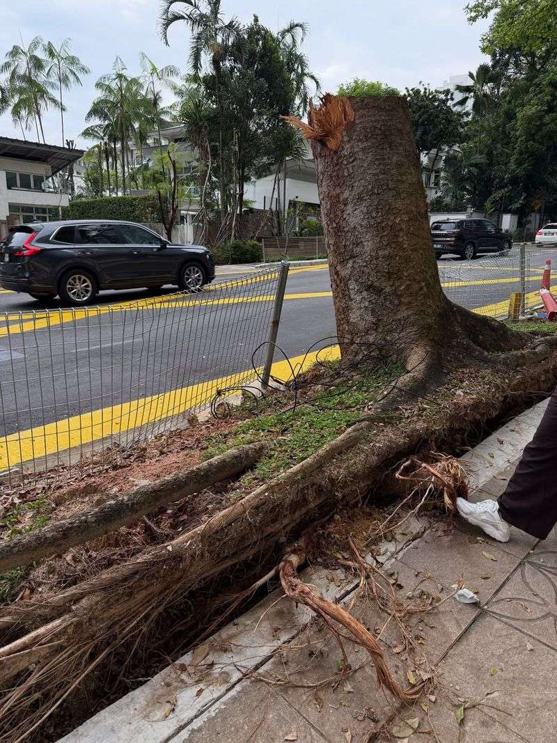 Proof Matters More Than Opinions