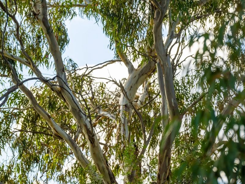 Proof Of Prior Knowledge Is Critical