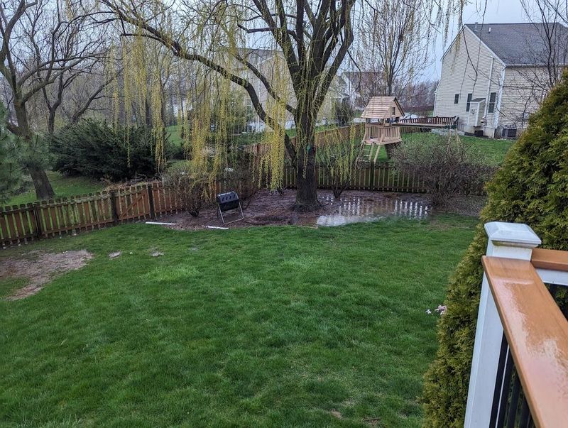 How Trees Can Interfere With Drainage In The First Place