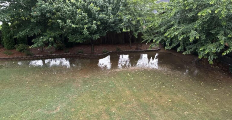 drainage issue in yard