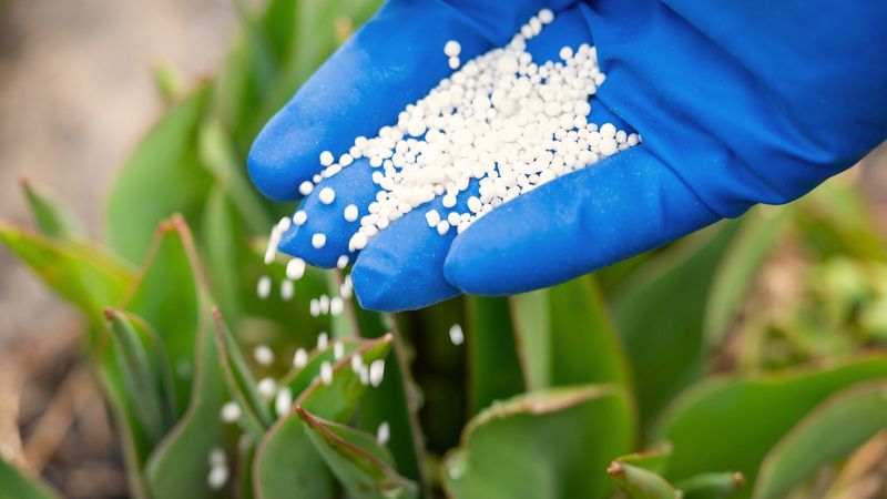 Synthetic Fertilizers With High Phosphorus
