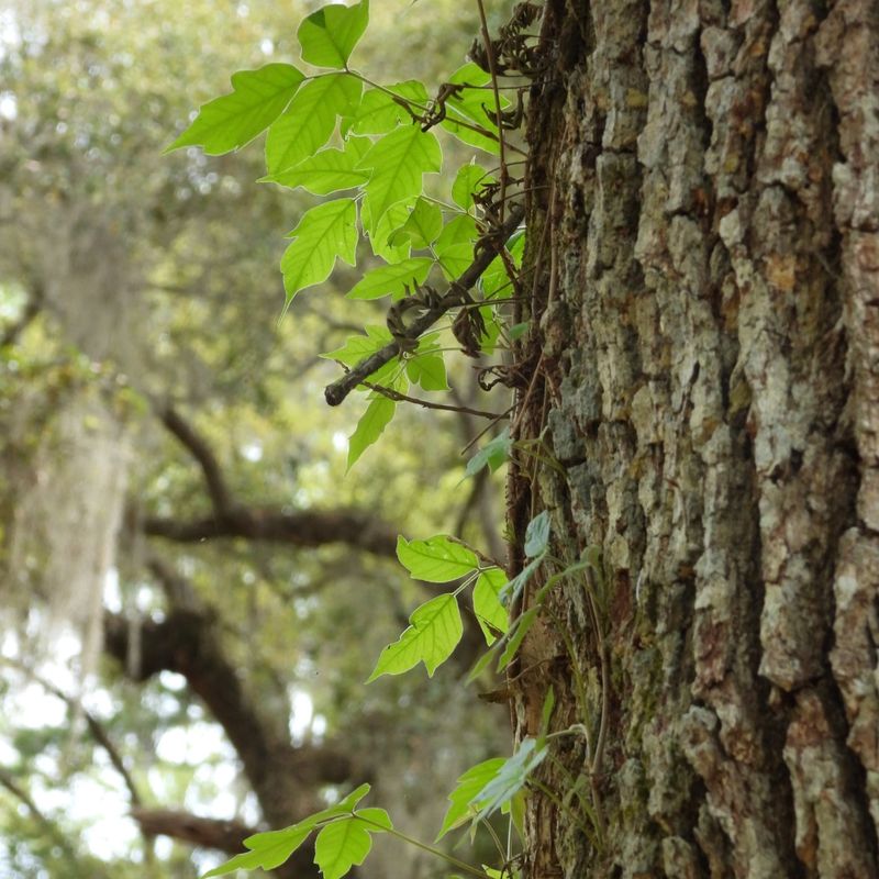 Bag Everything Immediately