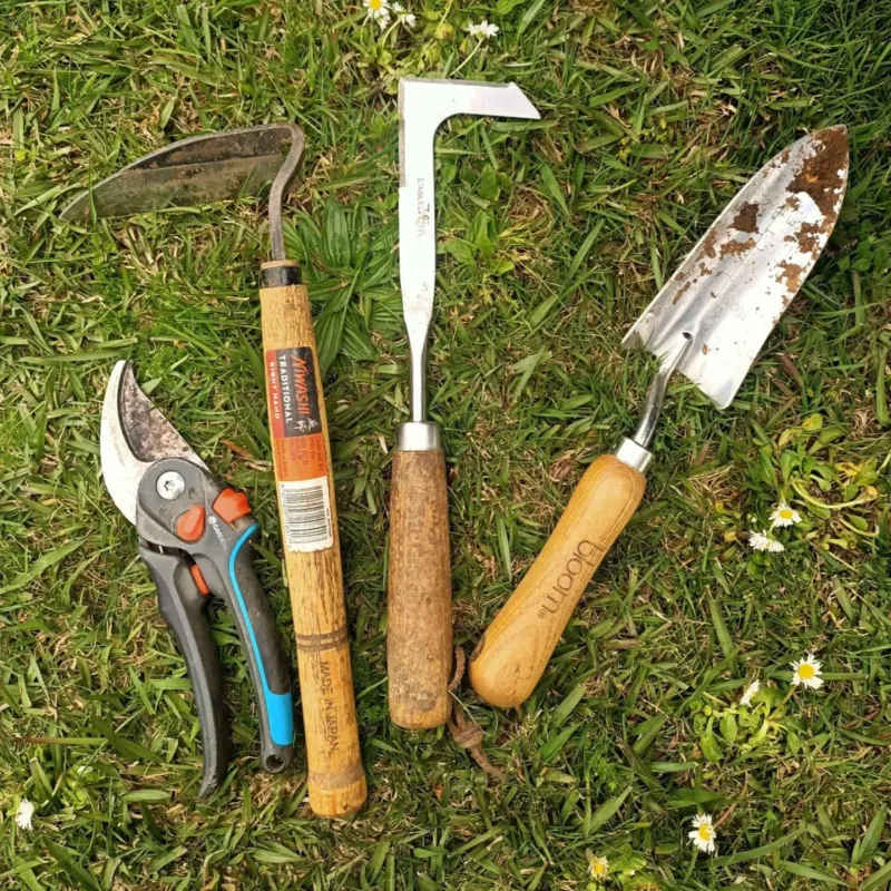 Clean Tools, Clothes, And Skin Immediately