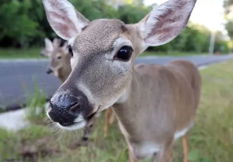 Avoid Trying To Handle The Situation Yourself