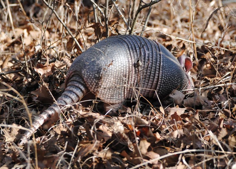 Never Ignore The Damage And Hope It Stops