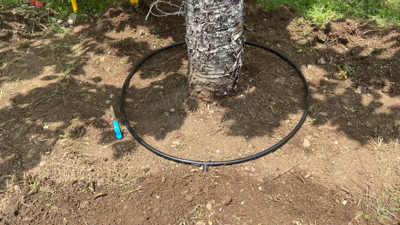 Water Restrictions Limit Traditional Gardening Methods