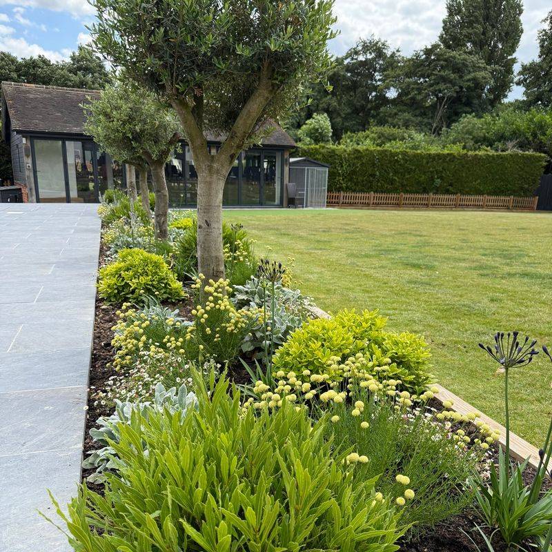 Choose Sun-Tolerant Plants