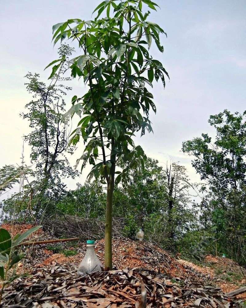 Water Deeply, Not Frequently