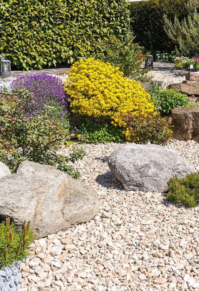 Decorative Rock Beds Without Proper Weed Barriers