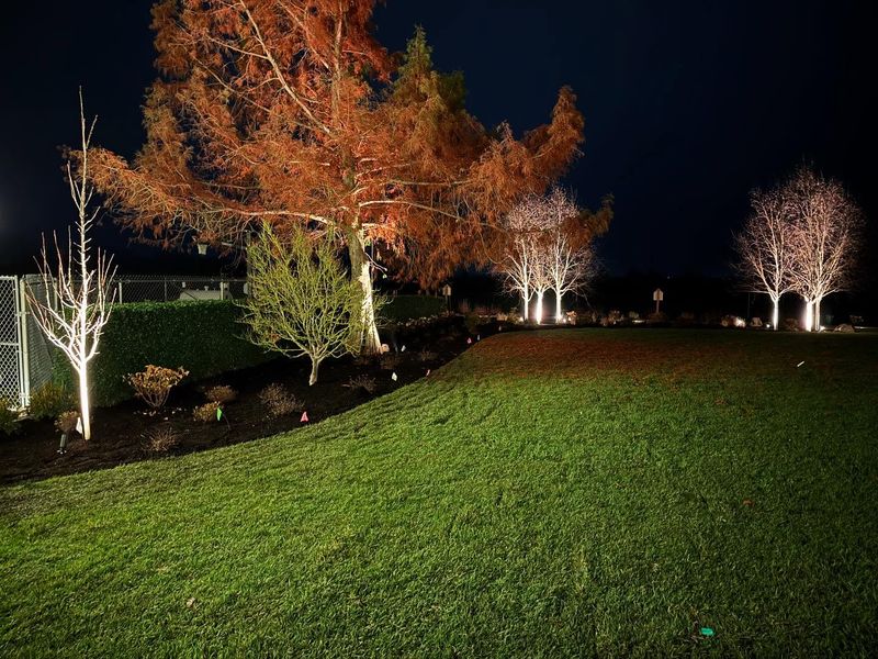 Excessive Outdoor Lighting