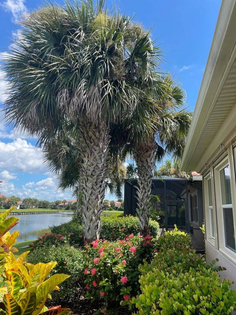 Watering All Plants The Same Way