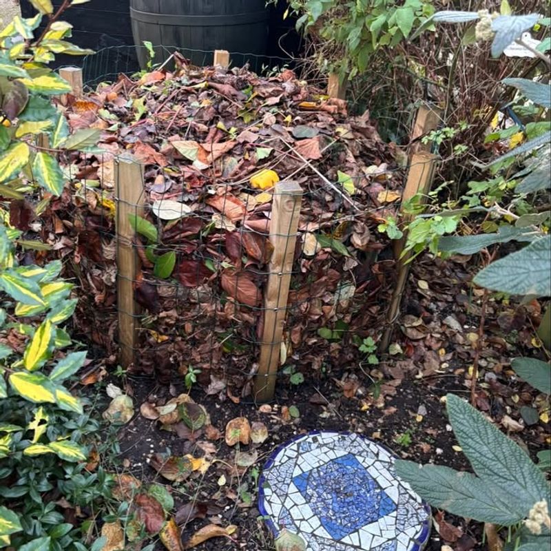 Leaving Leaves Can Save Pollinators