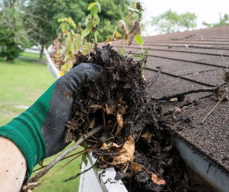 Clogged Drainage Areas And Gutter Debris