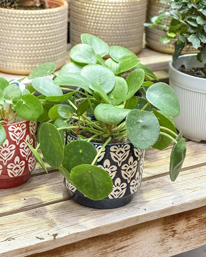 Kitchen Counter With Plenty Of Light