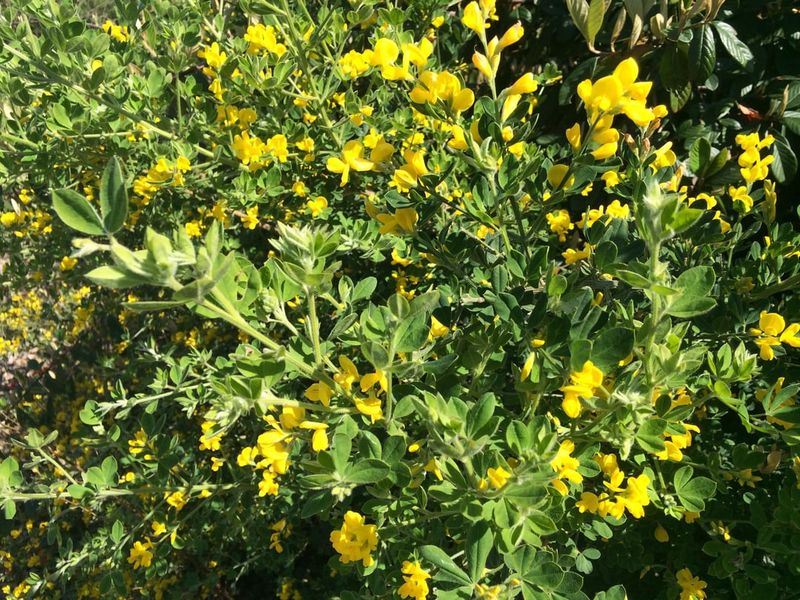 Long-Term Commitment Required For Successful Control