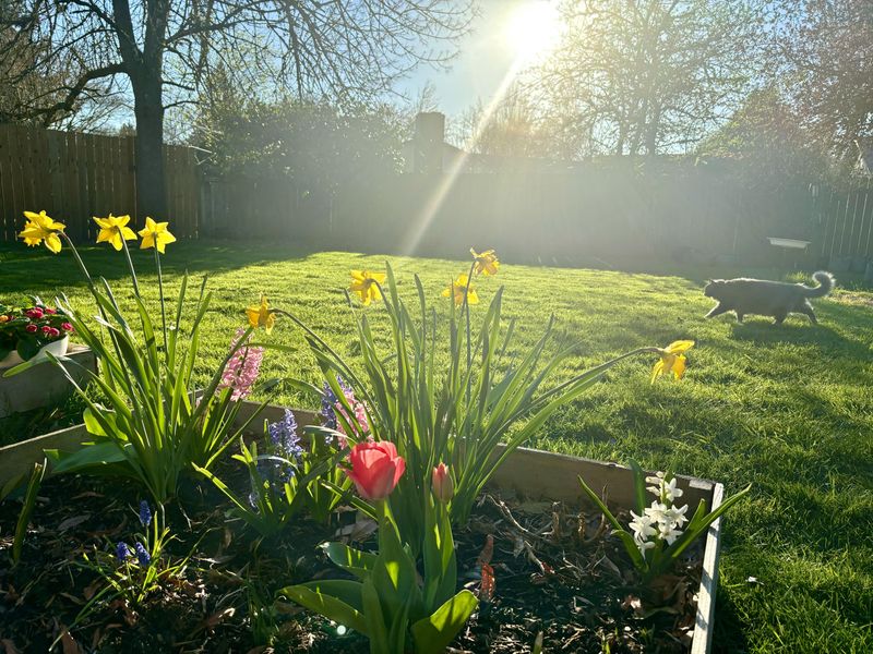 Willamette Valley Clouds Trick New Gardeners