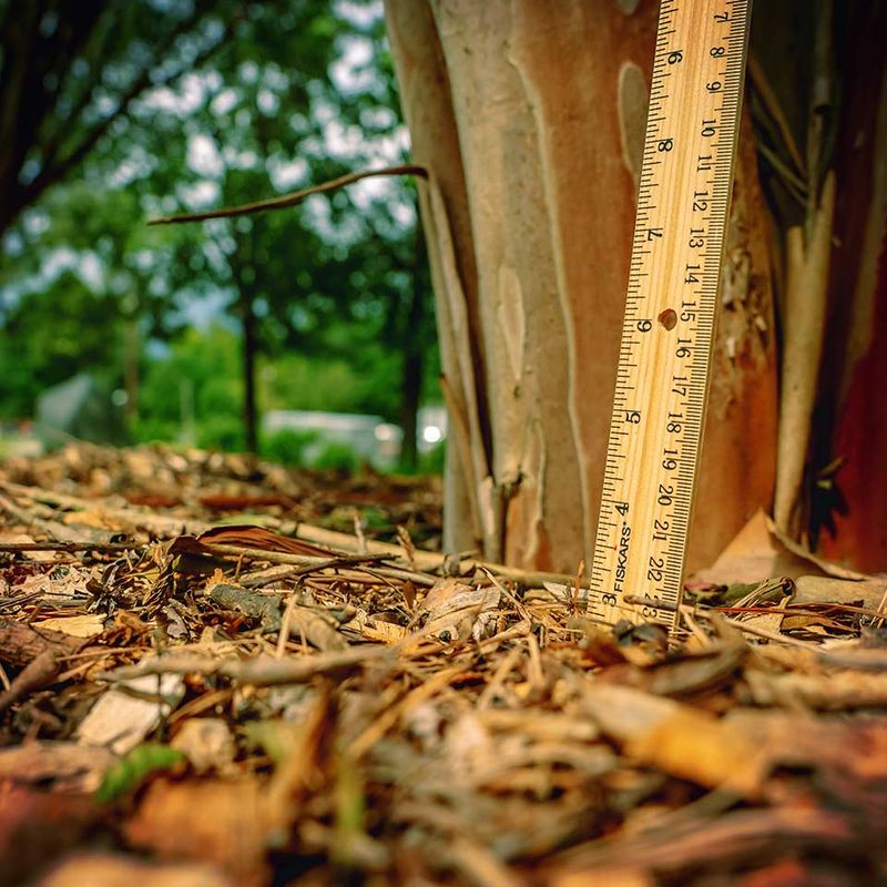 Mulch Depth and Coverage Techniques