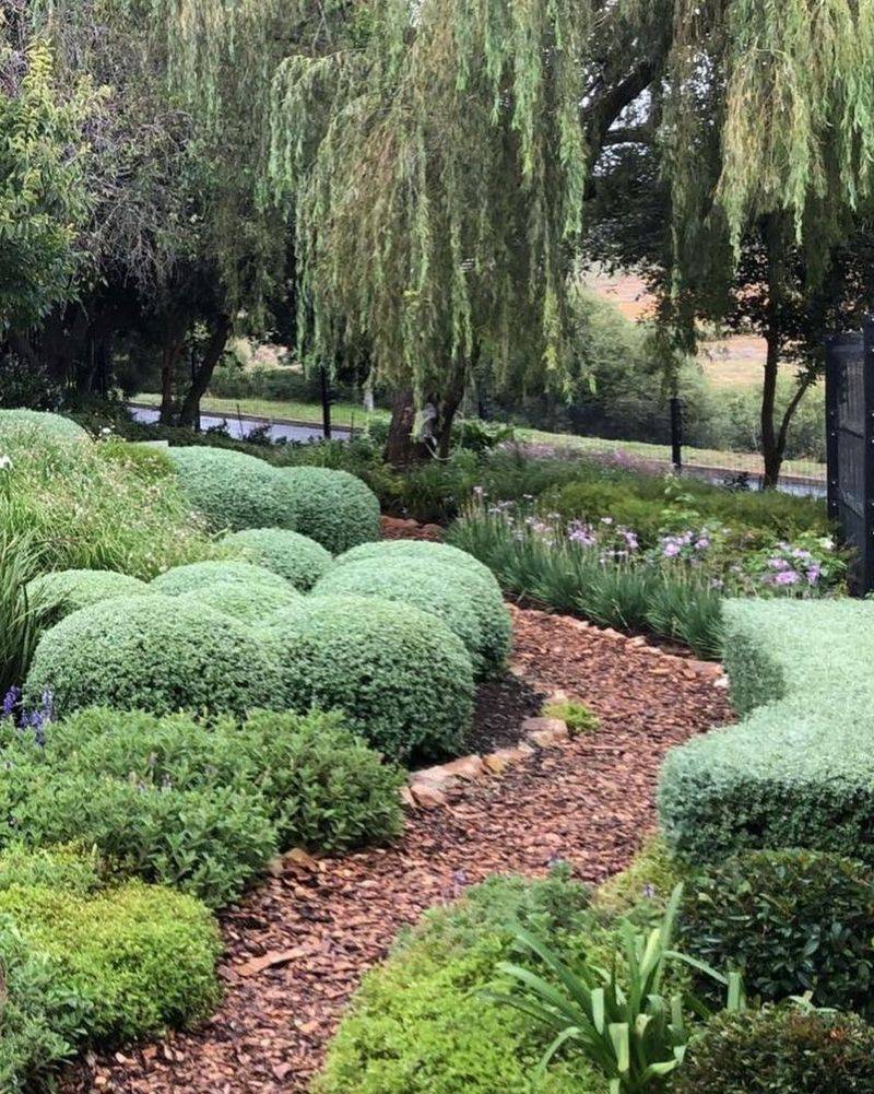 Coastal Salt-Tolerant Beds