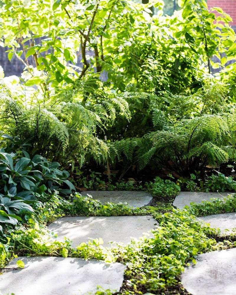 Shaded Woodland Garden Beds