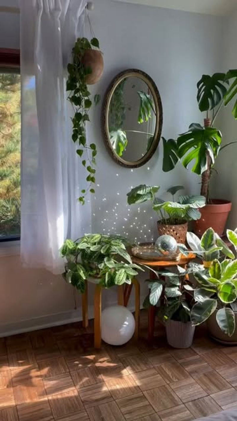 Indoor Greenery Becomes More Minimal