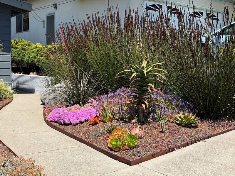 Drought-Tolerant Landscaping