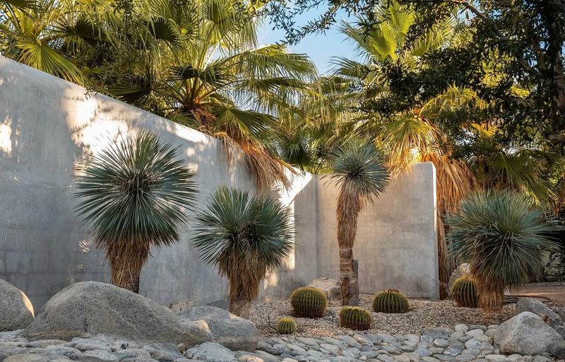 Heat-Tough Plants As Focal Points