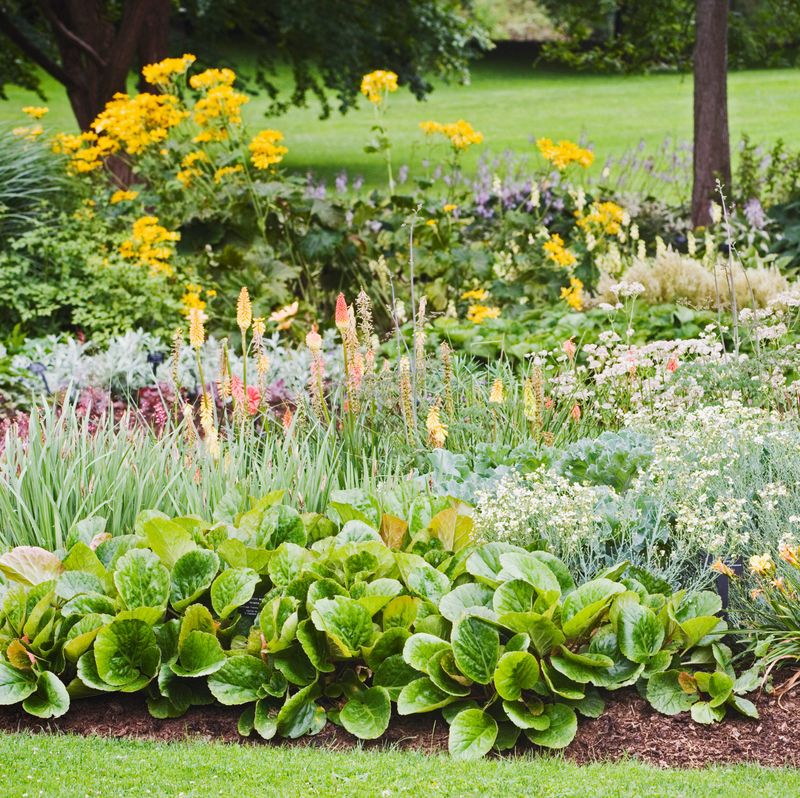 Edible Landscapes Mixing Food And Flowers
