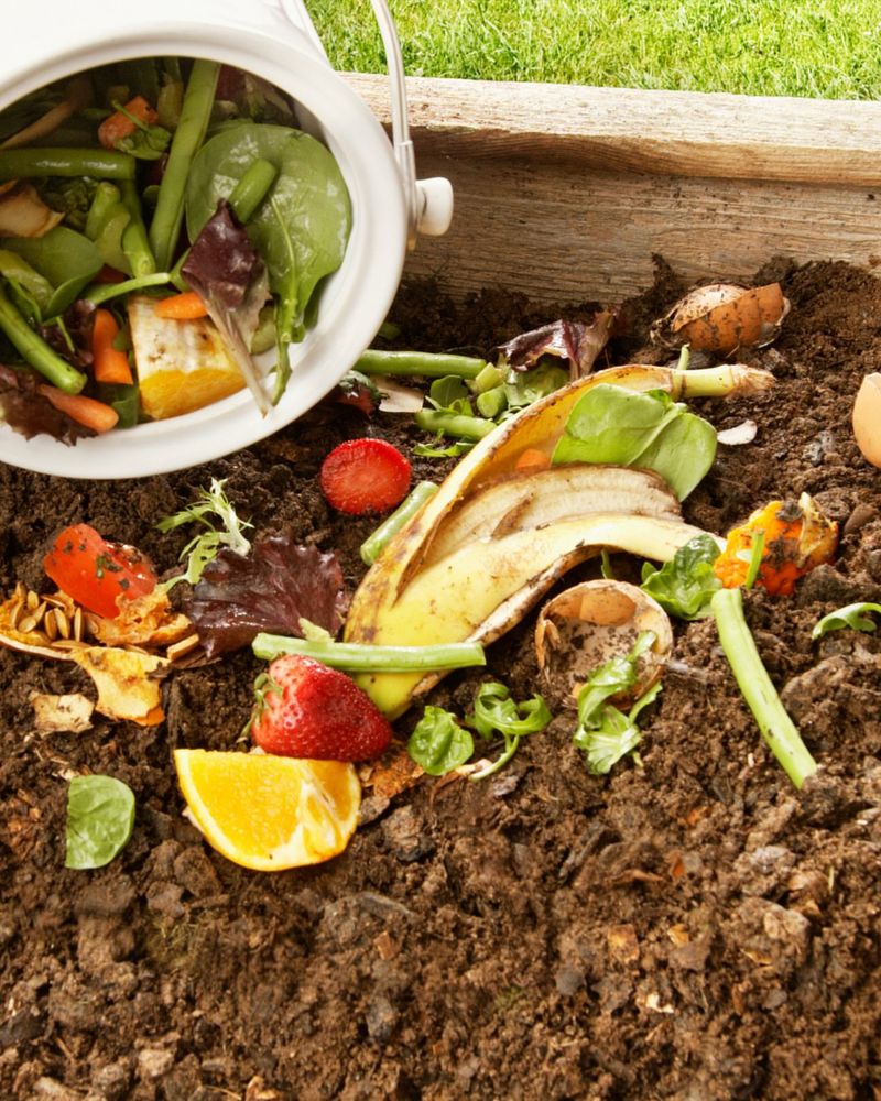 Soil Health Is Influencing Plant And Design Choices