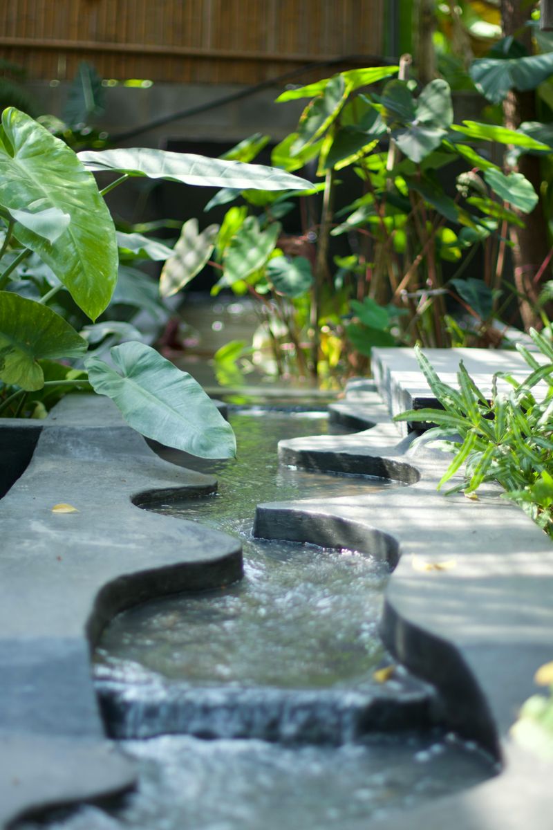 Water Features For Visual Interest