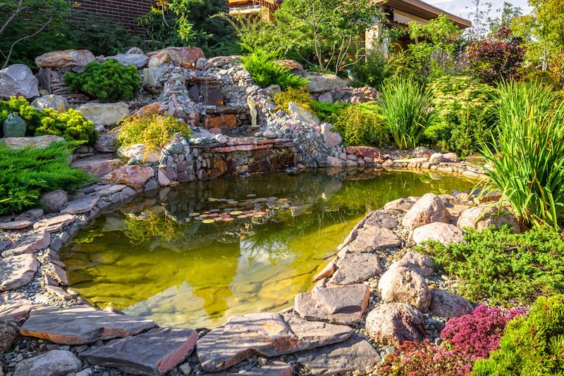 Ponds Or Water Features That Create Safety Or Mosquito Risks