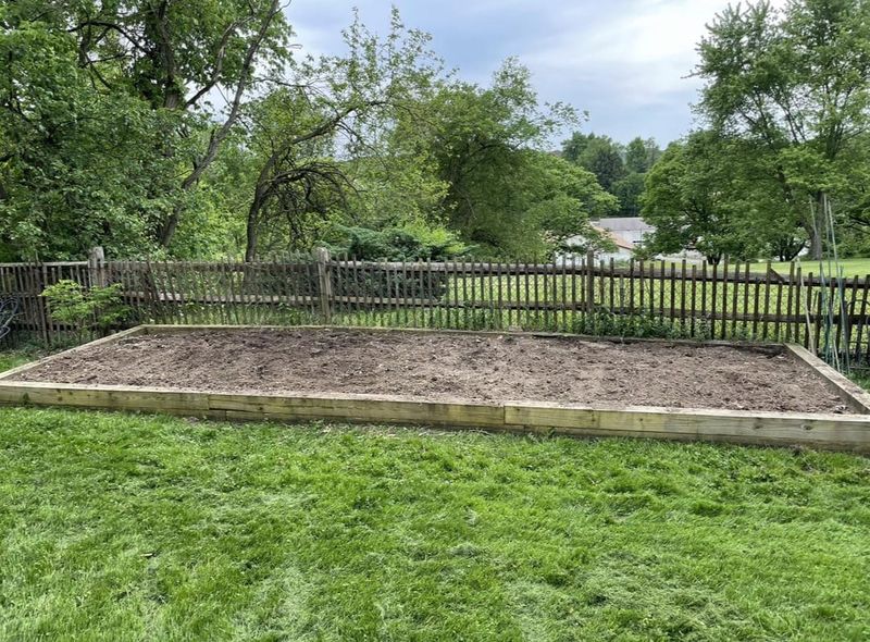 Ignoring Soil Depth Requirements